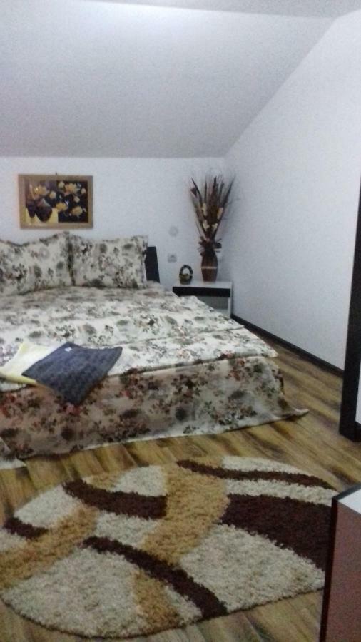 Casa Leonardo Hateg Ngoại thất bức ảnh